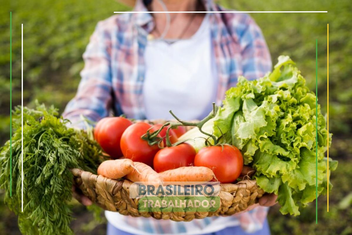 Uma mulher segura uma cesta com hortaliças, representando que os Preços de alimentos caem 