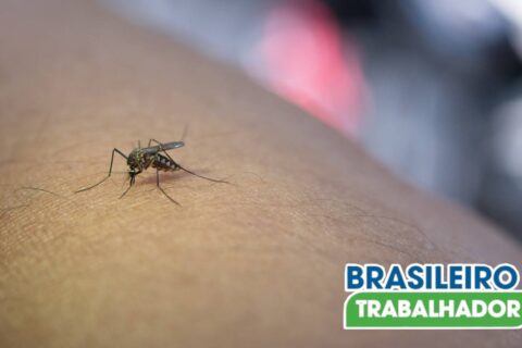 Pensão vitalícia: por que pessoas com síndrome devido à zika têm direito