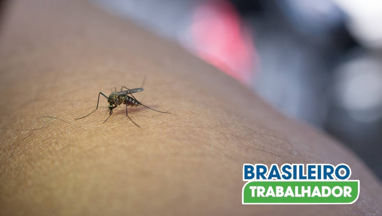 Pensão vitalícia: por que pessoas com síndrome devido à zika têm direito