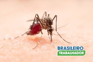 Dengue no verão: entenda por que a doença se espalha mais rápido e como prevenir