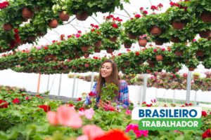 Descubra o Encanto de Holambra: A Joia das Flores e Cultura