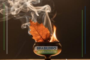 Se você queimar folhas de louro em casa algo incrível acontece