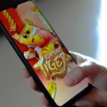 O que acontece com o dinheiro no Jogo do Tigrinho e bets proibidas