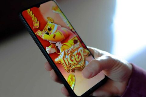 O que acontece com o dinheiro no Jogo do Tigrinho e bets proibidas