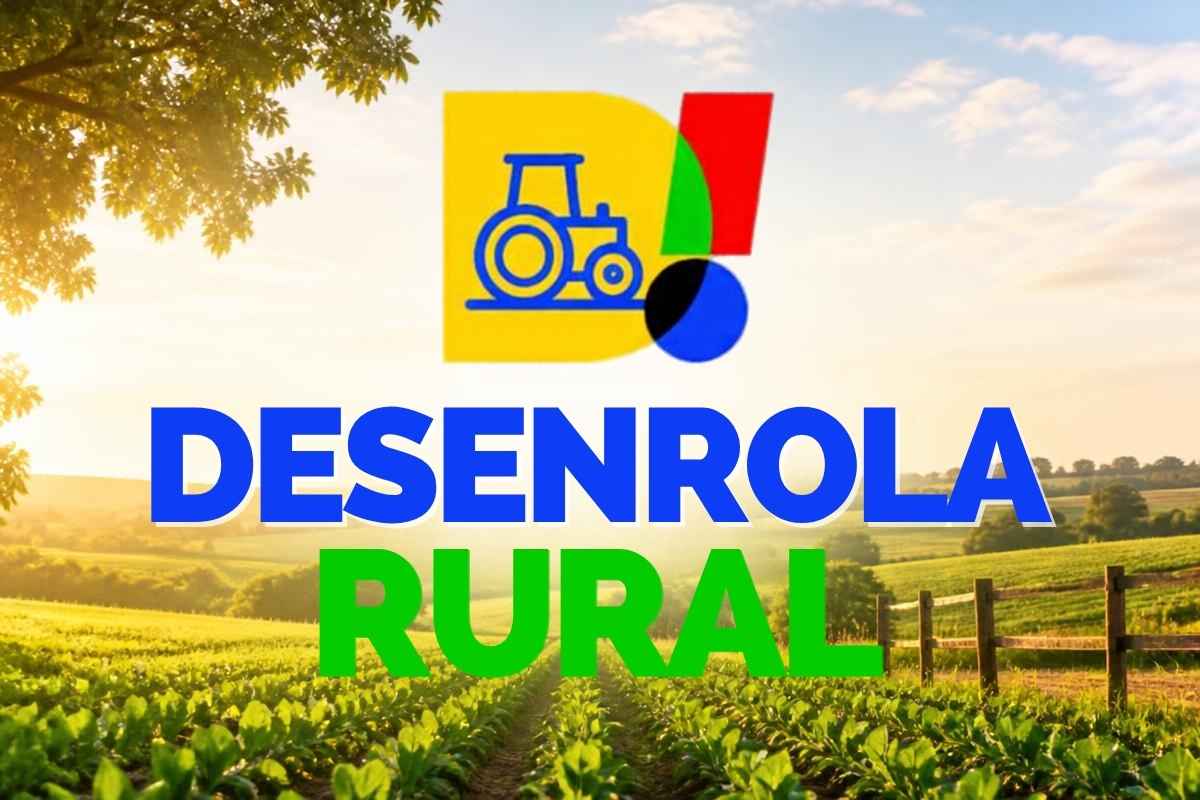 Ilustração do Desenrola Rural